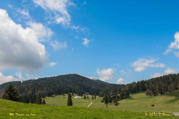 Mollendruz-002