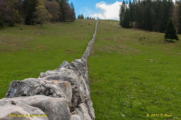 Mollendruz-003