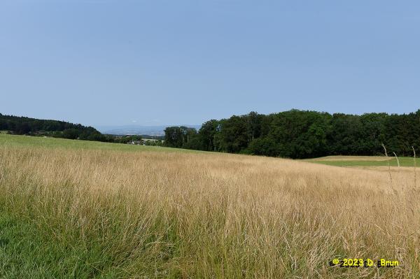 Montheron 003