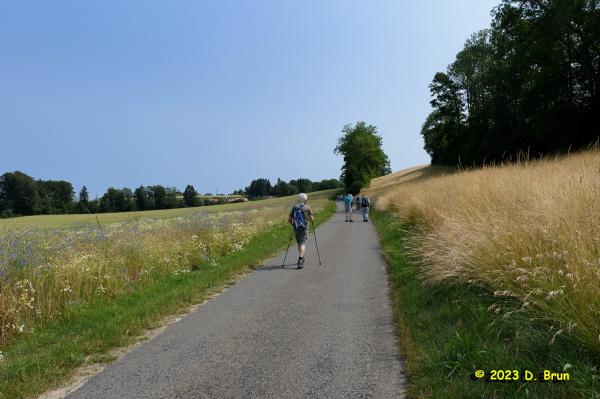 Montheron 005