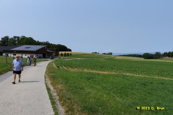 Montheron 006