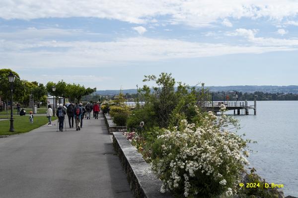 Morges 01