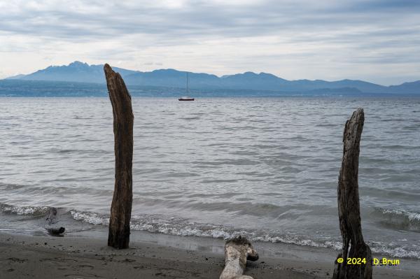 Morges 05