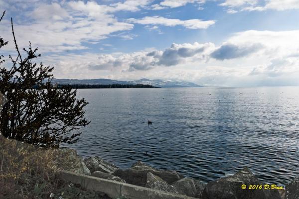 Morges-Les-Pierrettes-001