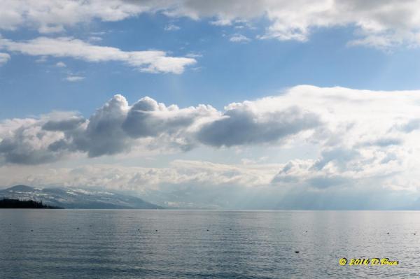 Morges-Les-Pierrettes-003
