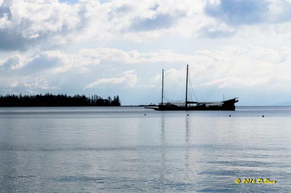 Morges-Les-Pierrettes-004