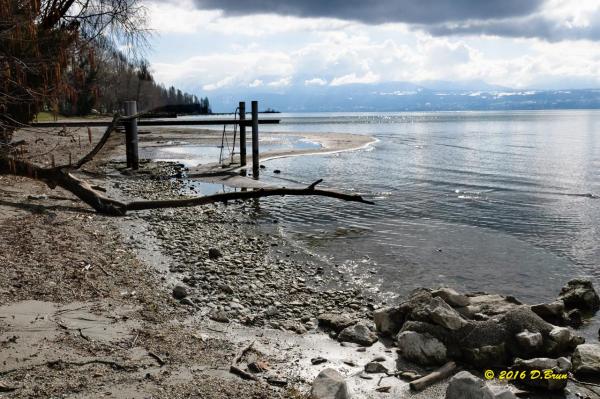 Morges-Les-Pierrettes-005
