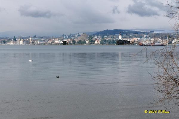 Morges-Les-Pierrettes-006