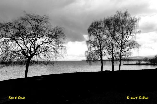Morges-Les-Pierrettes-012