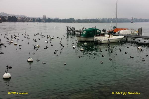 Morges-St-Sulp-001