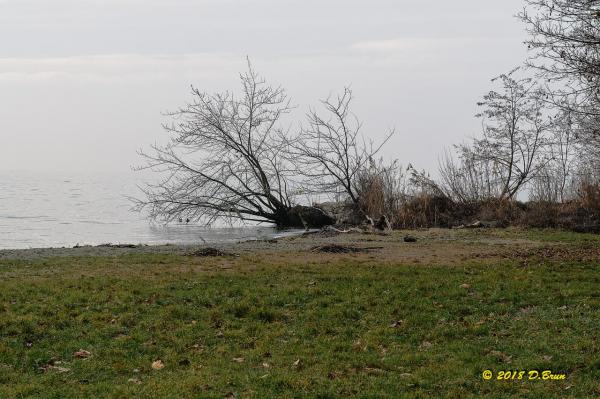 Morges-St-Sulp-009