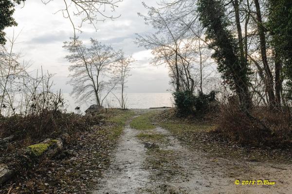 Morges-St-Sulp-010