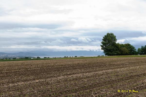 Morges-Vufflens-012
