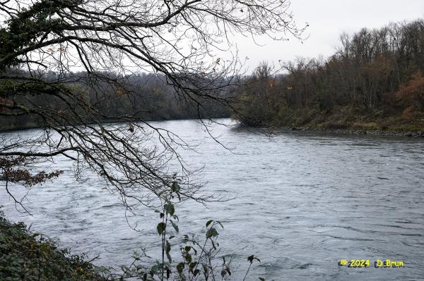 Moulin 04