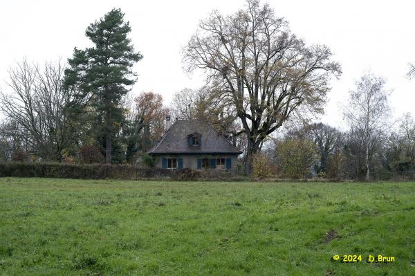 Moulin 11