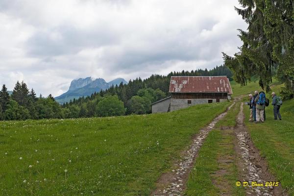 Mt-Baron-003
