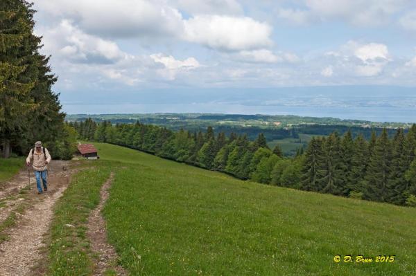 Mt-Baron-004