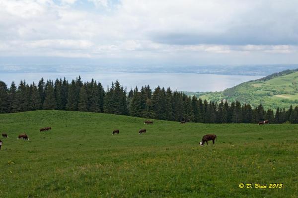 Mt-Baron-008