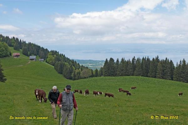 Mt-Baron-009