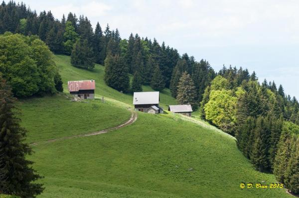 Mt-Baron-010