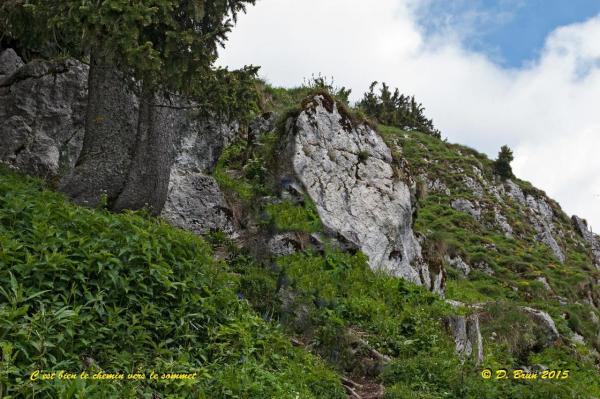 Mt-Baron-014