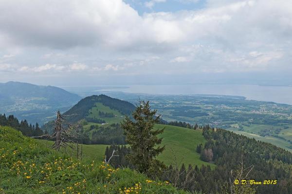 Mt-Baron-016
