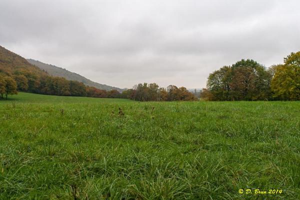 Mt-Mourex-007