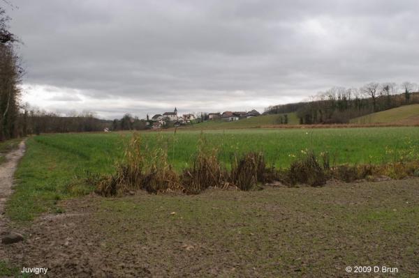 Presinge-Juvigny-006