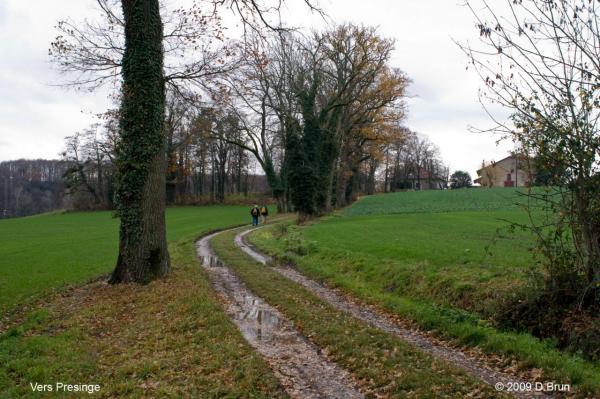 Presinge-Juvigny-012