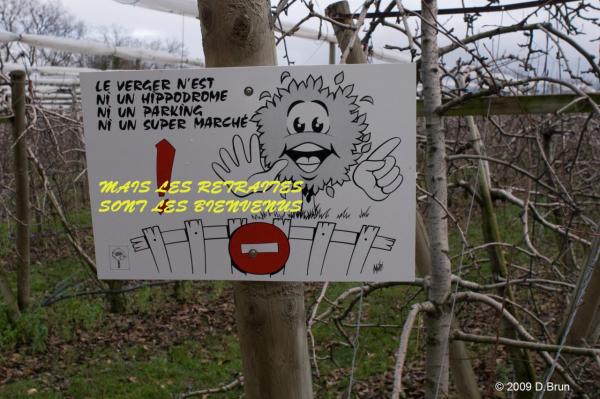 Presinge-Juvigny-017