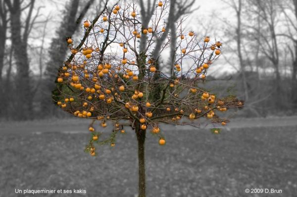 Presinge-Juvigny-018