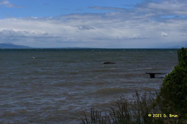 Preverenges 019