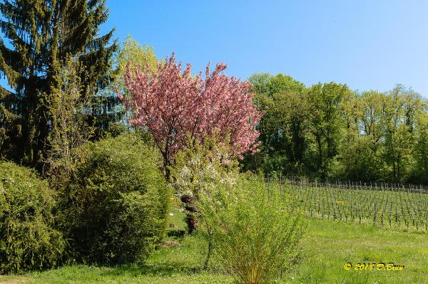 Promenthoux-015
