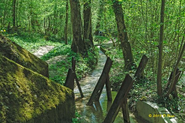 Promenthoux-016