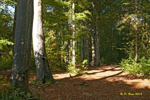 Promenthoux-Vich-003
