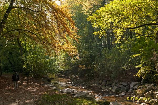 Promenthoux-Vich-006