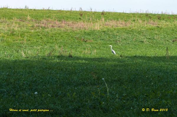 Promenthoux-Vich-009