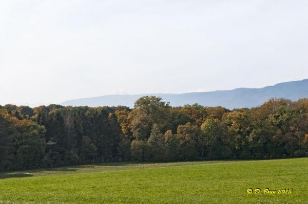 Promenthoux-Vich-011