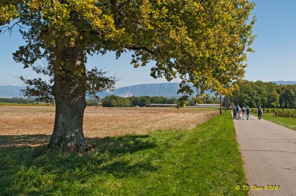 Russin-Essertine-022