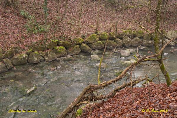 Satigny-005