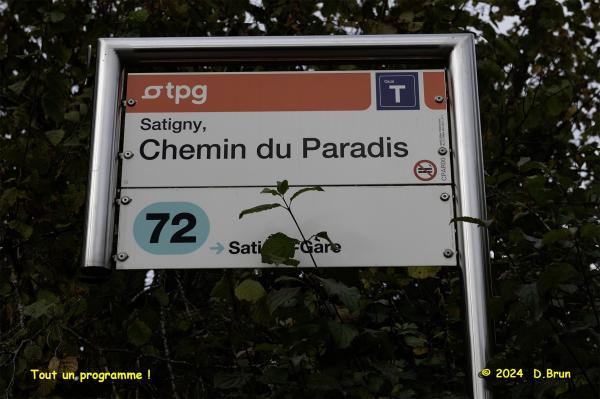Satigny 04