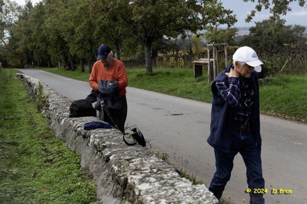 Satigny 06