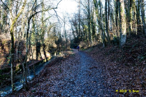 Satigny-Peney-003