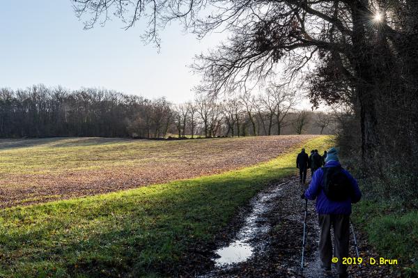Satigny-Peney-004
