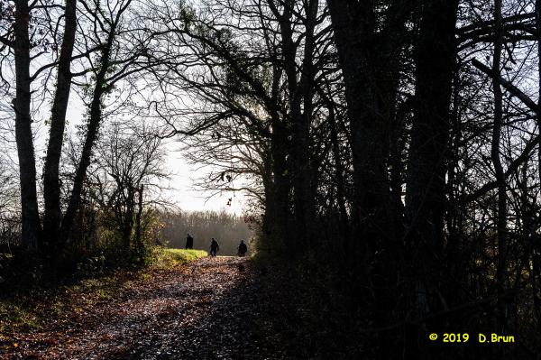 Satigny-Peney-005