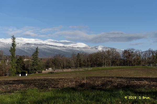 Satigny-Peney-006