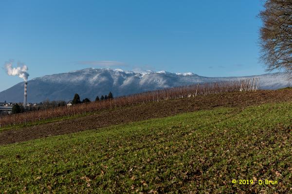 Satigny-Peney-010