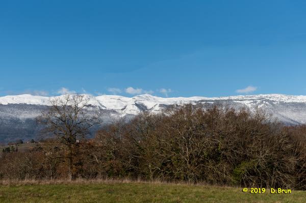 Satigny-Peney-011