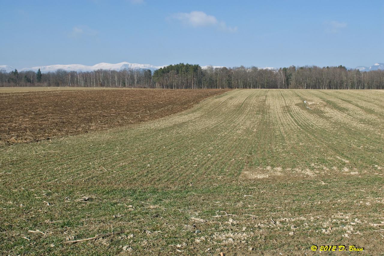 Sauvergny-Tannay-001