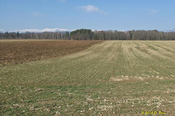 Sauvergny-Tannay-001